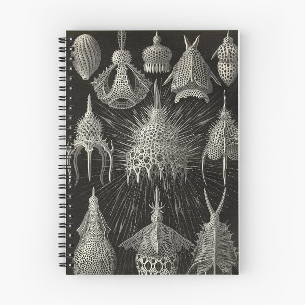 Item preview, Sea anemone - Ernst Haeckel  designed and sold by billythekidtees.