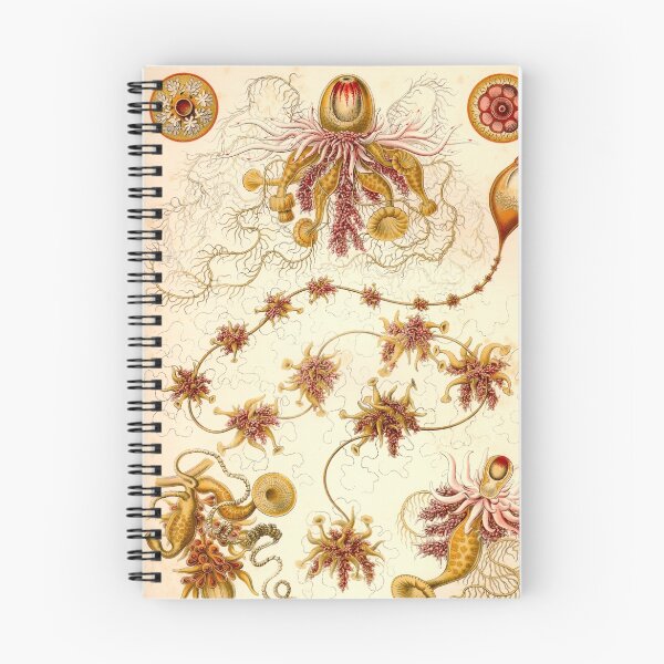 Item preview, Siphonophorae - Ernst Haeckel  designed and sold by billythekidtees.