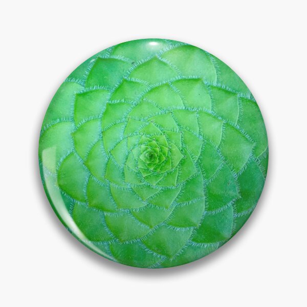 Item preview, Very Flat Cactus. Plant And Pattern Aesthetic Novelty Design. Inspirational Scenery Art designed and sold by Silver Medal.