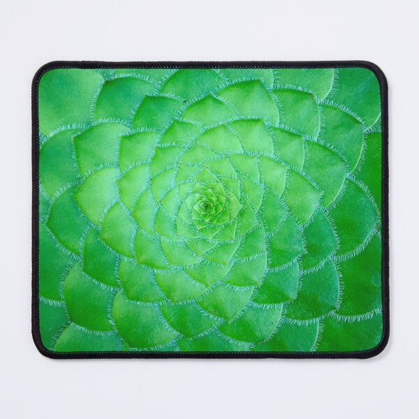 Item preview, Very Flat Cactus. Plant And Pattern Aesthetic Novelty Design. Inspirational Scenery Art designed and sold by Silver Medal.
