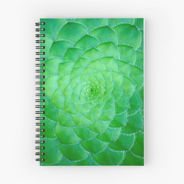 Item preview, Very Flat Cactus. Plant And Pattern Aesthetic Novelty Design. Inspirational Scenery Art designed and sold by Silver Medal.