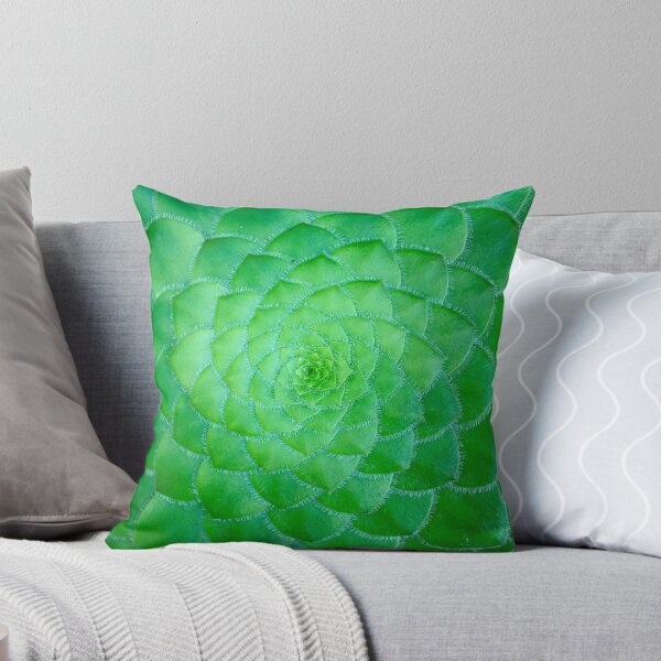 Item preview, Very Flat Cactus. Plant And Pattern Aesthetic Novelty Design. Inspirational Scenery Art designed and sold by Silver Medal.