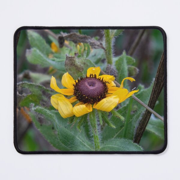 Item preview, Yellow Flower Perfection designed and sold by SafariByMarisa.