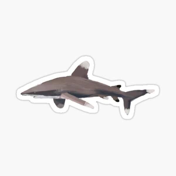 Item preview, Oceanic whitetip shark illustration designed and sold by TheNewAmericana.