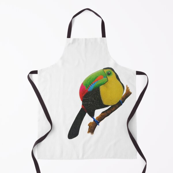 Aperçu de l'œuvre Toucan en techniques mixtes créée et vendue par Sinarahua-art.
