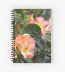 Butterfly Nectar Spiral Notebook