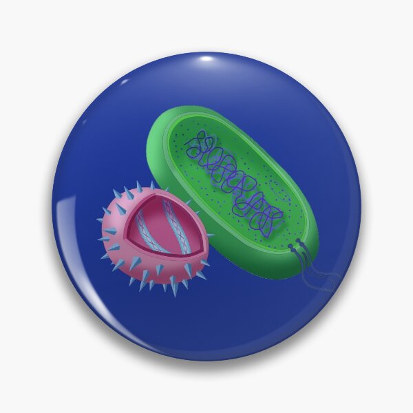 Item preview, A Colorful Illustration of a Virus Cell and a Bacteria Cell designed and sold by ScienceSource.