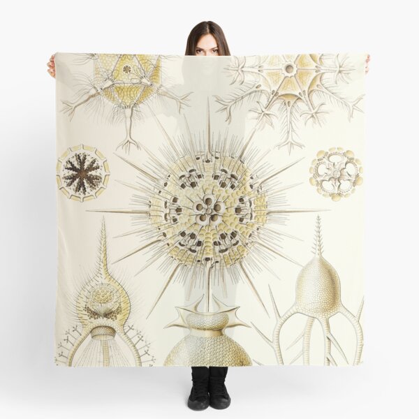 Aperçu de l'œuvre Phaeodaria - Ernst Haeckel créée et vendue par billythekidtees.