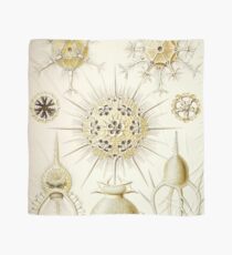 Phaeodaria - Ernst Haeckel Scarf