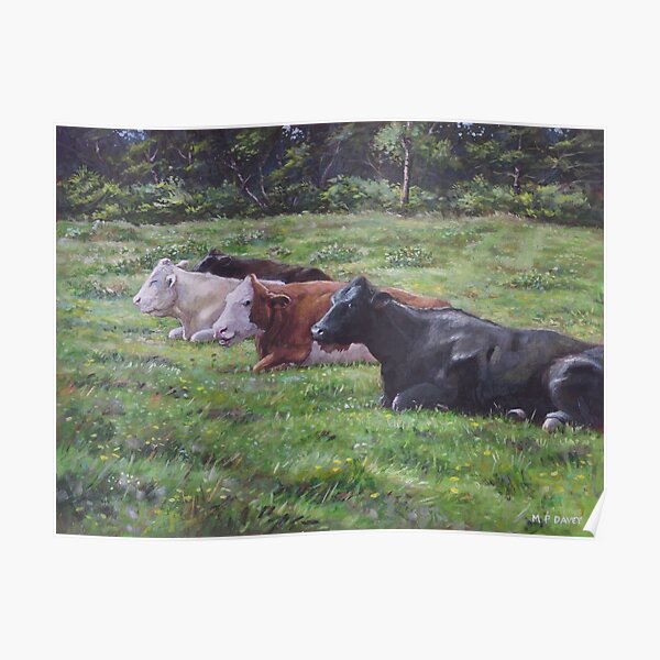 Cow line up in field Poster