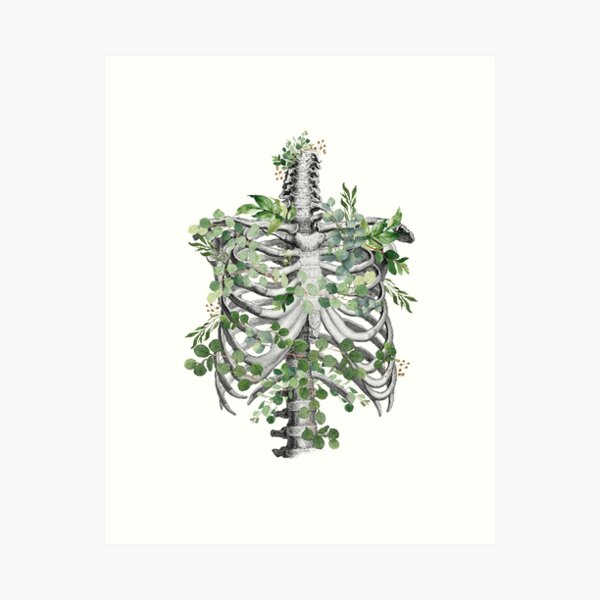 Item preview, Ribcage, rib cage, anatomy skeleton eucaliptus leaves designed and sold by Collagedream.