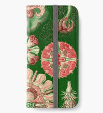 Discomedusae - Ernst Haeckel iPhone Wallet/Case/Skin