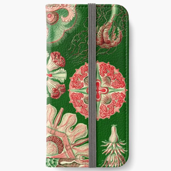 Discomedusae - Ernst Haeckel iPhone Wallet