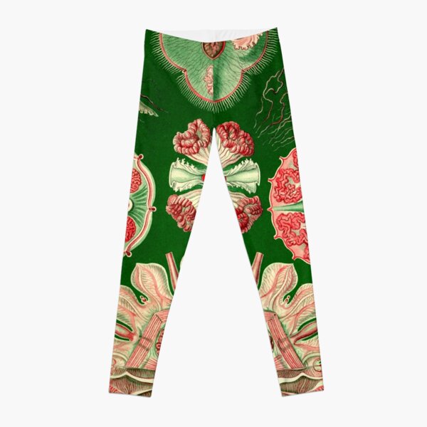 Discomedusae - Ernst Haeckel Leggings