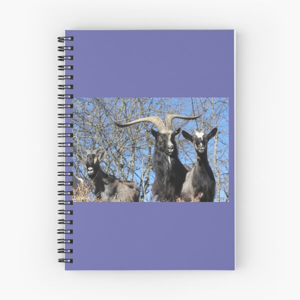 Item preview, 3 goats designed and sold by AHELENE.
