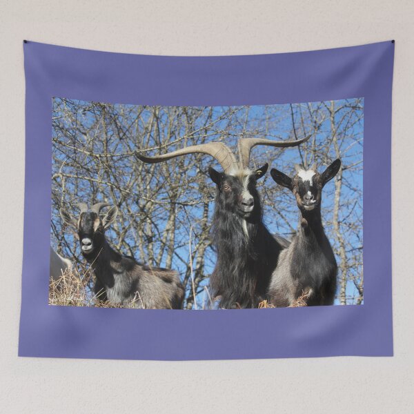 Item preview, 3 goats designed and sold by AHELENE.