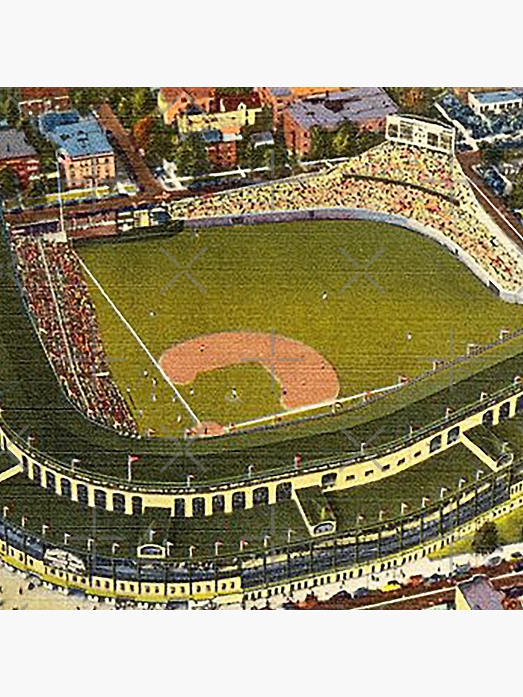 "wrigley field,rooftop bleachers at wrigley,ivy covered outfield walls