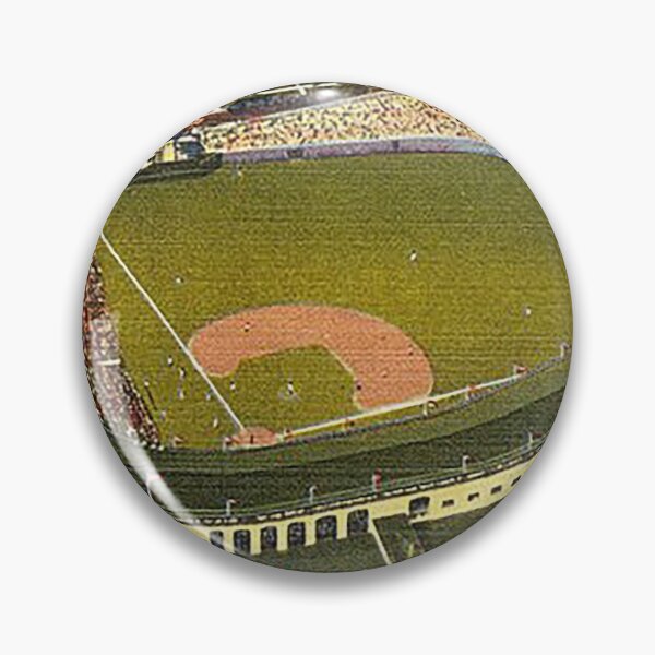 "wrigley field,rooftop bleachers at wrigley,ivy covered outfield walls