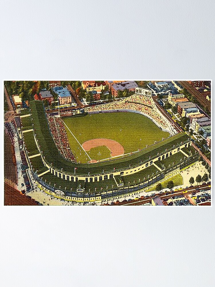 Why are Wrigley Field's outfield walls covered in ivy?