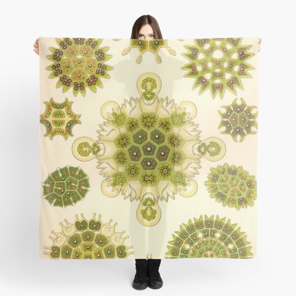 Item preview, Melethallia - Ernst Haeckel  designed and sold by billythekidtees.