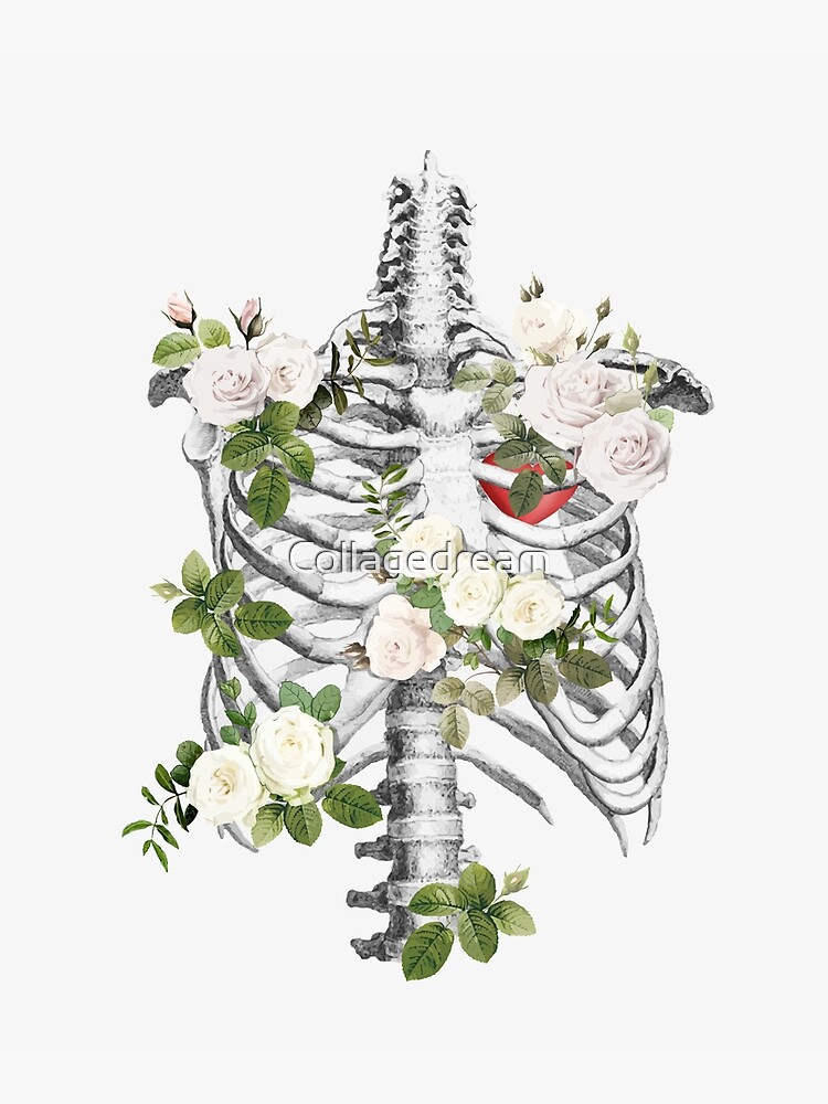 Anatomy Ribcage Rib Cageskeleton White Roses Mounted Print For Sale By Collagedream Redbubble