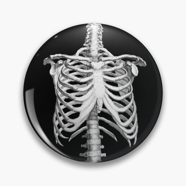 Item preview, Anatomy, ribcage, rib cage,skeleton designed and sold by Collagedream.