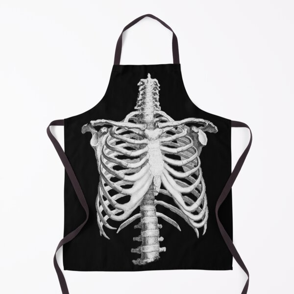 Item preview, Anatomy, ribcage, rib cage,skeleton designed and sold by Collagedream.