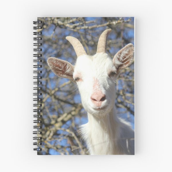 Item preview, Ariège white goat designed and sold by AHELENE.
