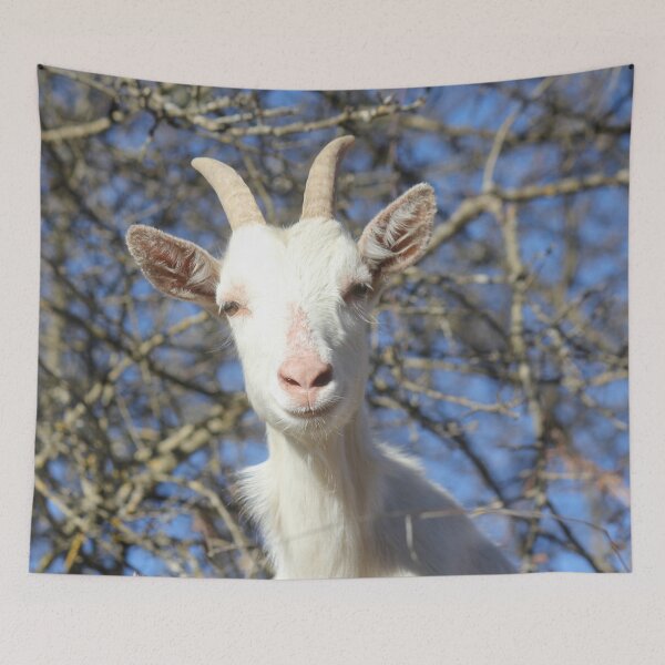 Item preview, Ariège white goat designed and sold by AHELENE.