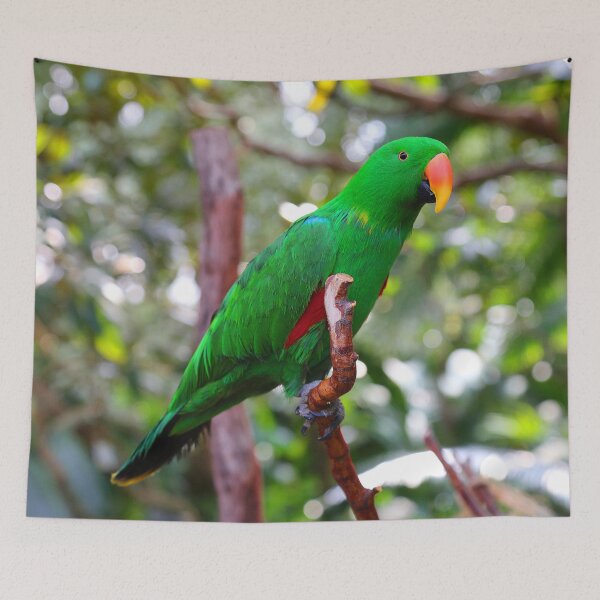 Item preview, Stunning Eclectus Parrot on Branch designed and sold by walkswithnature.