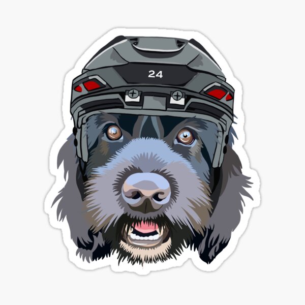 Dog cheap hockey helmet