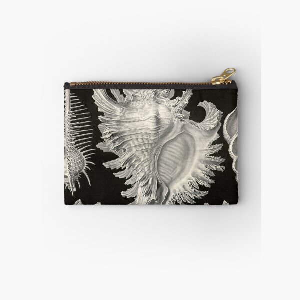 Item preview, Prosobranchia - Ernst Haeckel  designed and sold by billythekidtees.