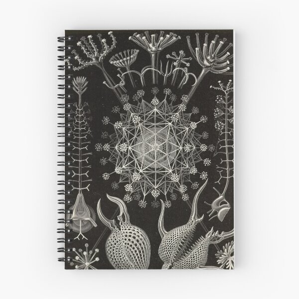 Item preview, Phaeodaria - Ernst Haeckel designed and sold by billythekidtees.