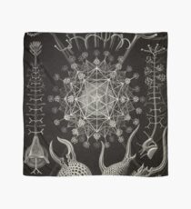 Phaeodaria - Ernst Haeckel Scarf