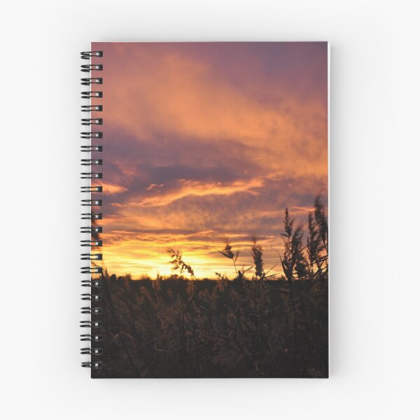 Item preview, Fenland sunset designed and sold by artshootfish.