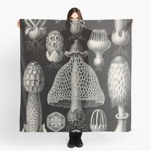 Basimycetes - Ernst Haeckel Scarf