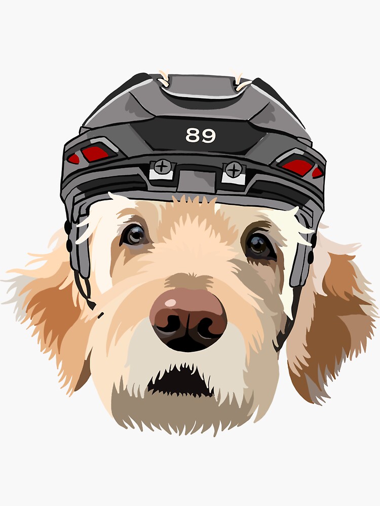 Dog best sale hockey helmet