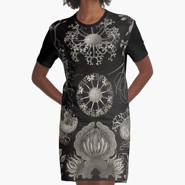 Artikel-Vorschau von Ascomyceten - Ernst Haeckel, designt und verkauft von billythekidtees.