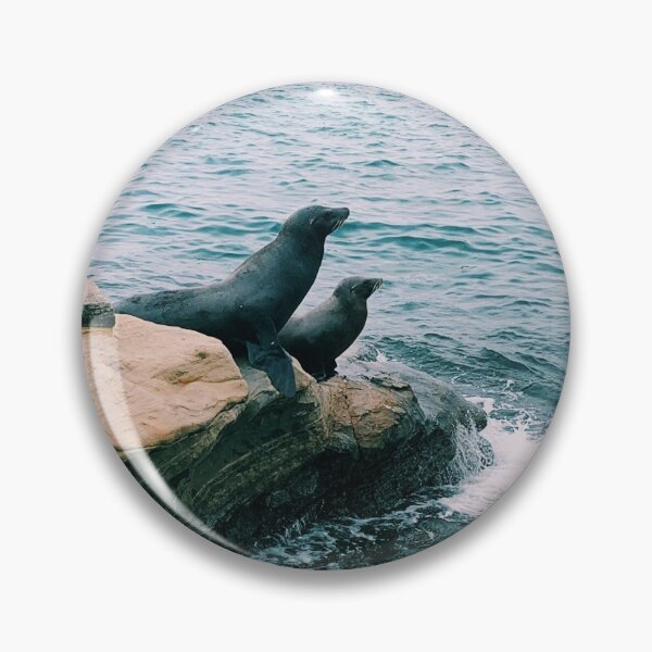 Item preview, Seals at La Jolla Cove designed and sold by Willystu.