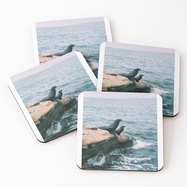 Item preview, Seals at La Jolla Cove designed and sold by Willystu.