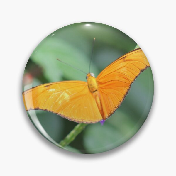 Item preview, Julia Heliconian Woodland Butterfly  designed and sold by CapeCodGiftShop.