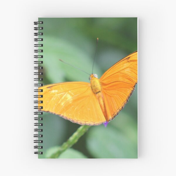 Item preview, Julia Heliconian Woodland Butterfly  designed and sold by CapeCodGiftShop.