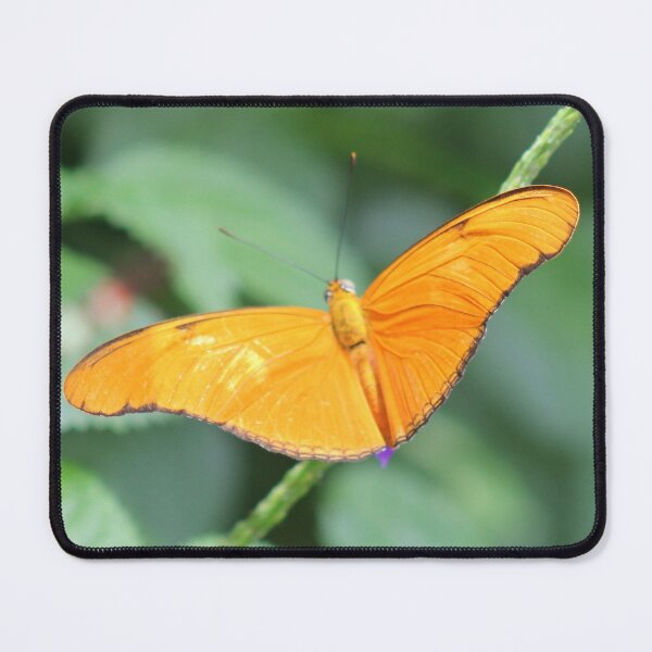 Item preview, Julia Heliconian Woodland Butterfly designed and sold by CapeCodGiftShop.