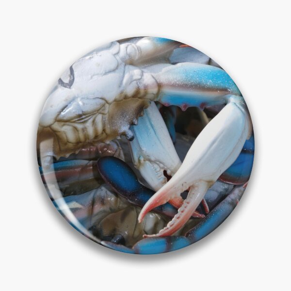 Item preview, Artificial Blue Crabs designed and sold by hamiltonphotos.