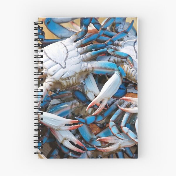 Item preview, Artificial Blue Crabs designed and sold by hamiltonphotos.
