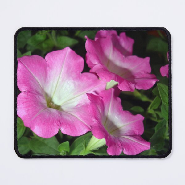 Item preview, Pink Petunia designed and sold by Rainy.