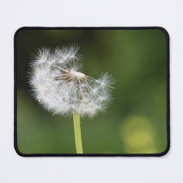 Item preview, Holding On designed and sold by Tracy Friesen.