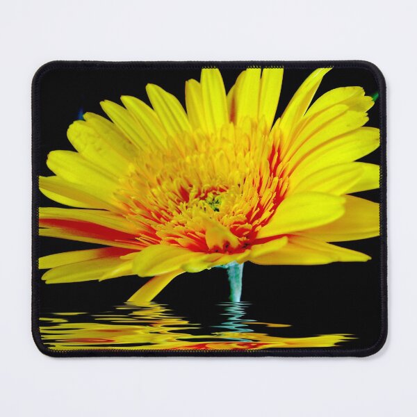 Item preview, Yellow Gerbera designed and sold by Rainy.