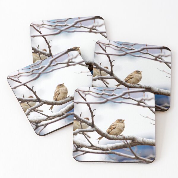 Item preview, Perching Sparrow designed and sold by couragesings.