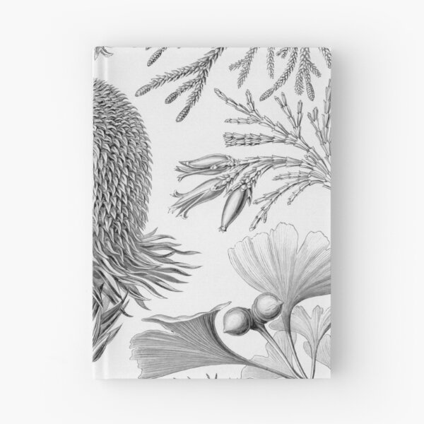 Item preview, Coniferae - Ernst Haeckel  designed and sold by billythekidtees.